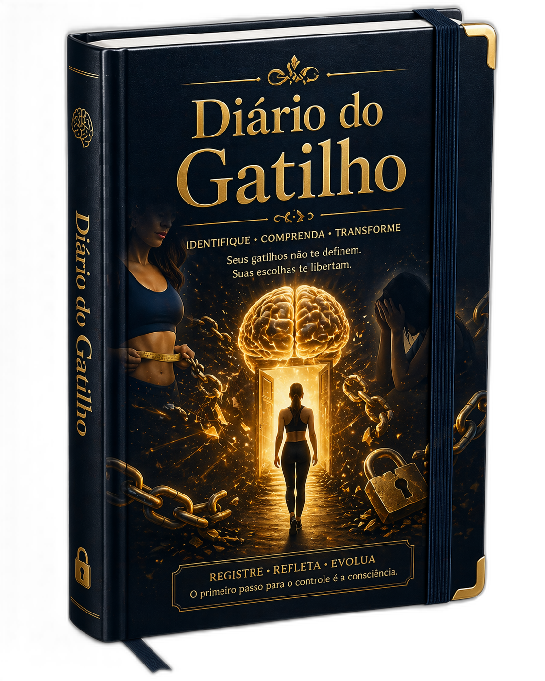 Diário do Gatilho